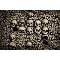 Skip the Line Paris Catacombs Guided tour