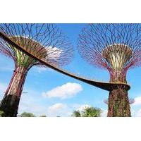 Skip the Line: Gardens by the Bay E-ticket