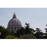 Skip the Line: Vatican Tour including the Sisitine Chapel and St Peter\'s Basilica