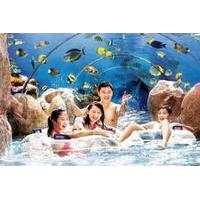 Skip the Line: Adventure Cove Waterpark Admission E-ticket