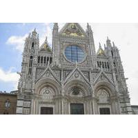 Skip the Line: Siena Duomo and City Walking Tour