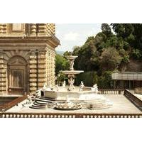 Skip the Line: Pitti Palace and Palatine Gallery Walking Tour