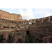 Skip the Line: Colosseum Roman Forum and Palantine Hill Elite Tour
