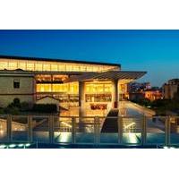 Skip the Line: Guided Tour of Athens New Acropolis Museum