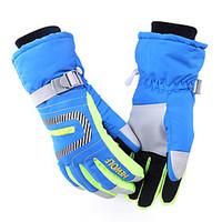 Ski Gloves Winter Gloves Women\'s / Men\'s / Unisex Activity/ Sports Gloves Keep Warm / Waterproof / Windproof HewolfSki Snowboard /
