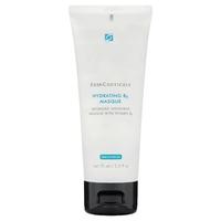 SkinCeuticals Hydrating B5 Masque 75ml