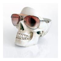 Skull Stuff Tidy