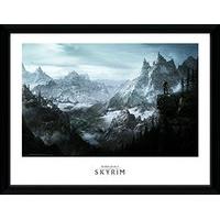 skyrim game poster