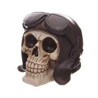 skull flying hat money box decoration