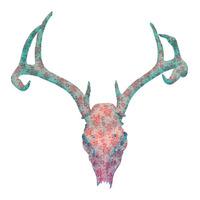 Skull Toile #3 By The Strange Case Company