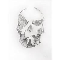 Skull 02 By Von