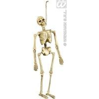 Skeletons 40cm Accessory For Halloween Living Dead Fancy Dress