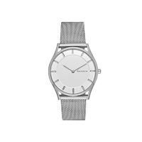 Skagen Ladies\' Holst Slim Steel Mesh Watch