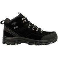 Skechers Pelmo men\'s Shoes (Trainers) in Black
