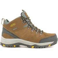 skechers 64869 trekking shoes man khaki mens trainers in green