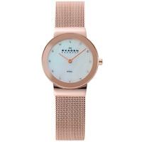 SKAGEN Ladies Classic Watch