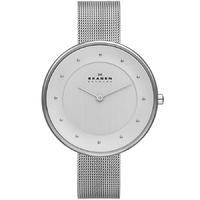 Skagen Ladies Klassik Mesh Bracelet Watch SKW2140