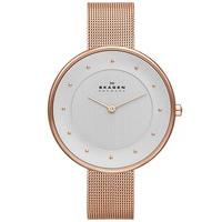 Skagen Ladies Klassik Watch SKW2142