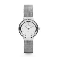 Skagen Ladies Steel Mesh Watch 456SSS