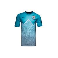 Slovenia 2016 Home Stadium S/S Football Shirt