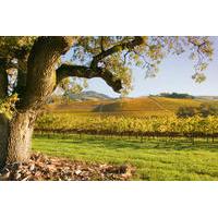 small group napa and sonoma wine country tour with lunch