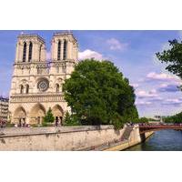 Small-Group Walking Tour: From Notre-Dame to the Champs-Élysées