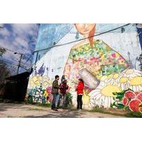 Small-Group Tour: Open Sky Street Art Museum Including a Chilean Traditional Meal in Santiago