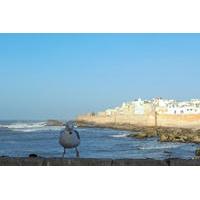 Small-Group Day Trip to Essaouira from Marrakech