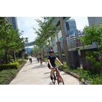 Small-Group Tokyo Local Biking Tour