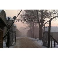 Small-Group Tour to Auschwitz-Birkenau Museum from Krakow