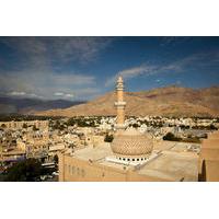Small Group Day Trip to Nizwa Fort and Jabreen Castle from Muscat