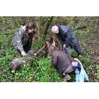 Small-Group Truffle Hunting and Wine Experience from Florence with Lunch