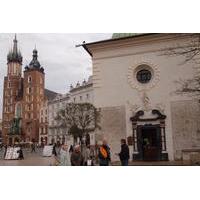 Small-Group Old Town Walking Tour of Krakow