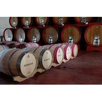 Small Group Tour: Tuscany Wine Tour Siena and San Gimignano - Full Day Tour from Rome - Tasting and lunch included