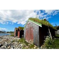 Small-group Arctic Landscapes Sightseeing Tour from Tromso - summer