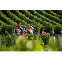 small group st emilion bike tour from bordeaux including wine tastings ...