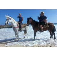 Small-Group Horseback Ride and Island Tour in Aruba