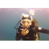 small group 3 hour scuba diving trip in the calanques national park fr ...