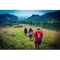 Small-Group Hiking Adventure Including Lunch with a Local Family from Nadi