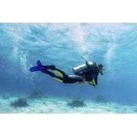 small group muscat scuba diving for certified divers