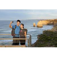 small group great ocean road tour with eureka skydeck and edge experie ...