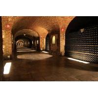 small group day tour of mot et chandon and taittinger with champagne t ...