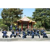 Small-Group Tai Chi and Kung Fu Class in Hong Kong