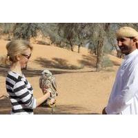 small group dubai interactive falconry experience and wildlife drive w ...