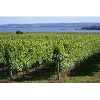 Small-Group Annapolis Valley Wine and Food Tour from Halifax