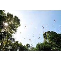 Small-Group Tour to Can Gio Vam Sat Mangrove Forest