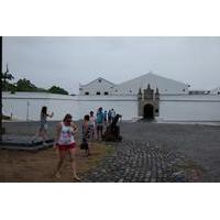 Small-Group City Tour of Recife Including the Park of Statues
