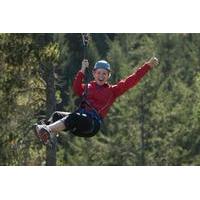 Small-Group Zipline Adventure