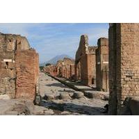small group tour pompeii and naples full day tour from rome pizza lunc ...