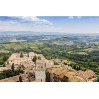 Small Group Pisa Day Trip to Siena and San Gimignano by Minivan Including Wine Tasting